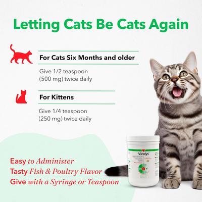 Show full view: Vetoquinol Viralys Powder Immune Supplement for Cats, 21.2-oz slide 5 of 12