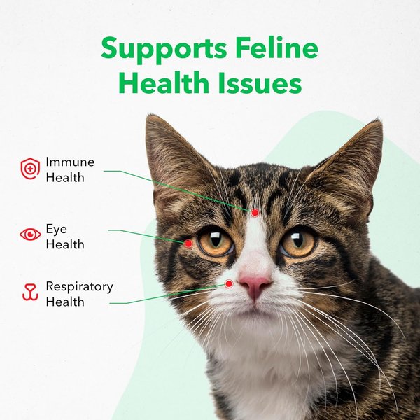 Vetoquinol Viralys Gel Immune Supplement for Cats