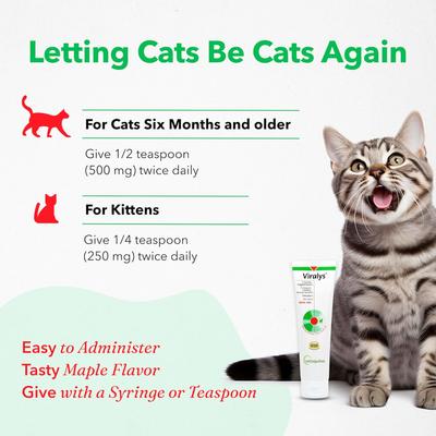Show full view: Vetoquinol Viralys Gel Immune Supplement for Cats, 5-fl oz slide 5 of 12