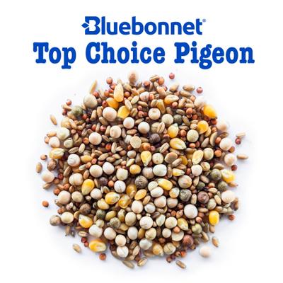 Show full view: Bluebonnet Feeds Top Choice Pigeon Food, 50-lb bag slide 3 of 10
