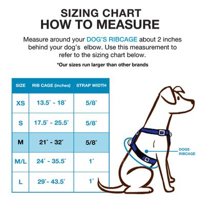 Show full view: Blue-9 Pet Products Buckle-Neck Balance Dog Harness, Hot Pink, Medium: 21 to 32-in chest slide 2 of 9