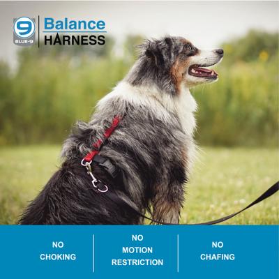Show full view: Blue-9 Pet Products Buckle-Neck Balance Dog Harness, Black, Small: 17.5 to 25.5-in chest slide 3 of 9