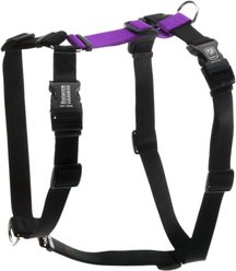 Blue-9 Balance No-Pull Dog Harness, Purple, Medium-Large: 24 to 35.5-in chest