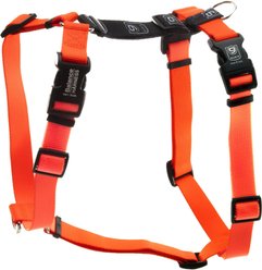 Blue-9 Pet Products Buckle-Neck Balance Dog Harness, Orange, Medium: 21 to 32-in chest