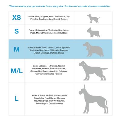 Show full view: Blue-9 Pet Products Buckle-Neck Balance Dog Harness, Hot Pink, Medium: 21 to 32-in chest slide 5 of 9