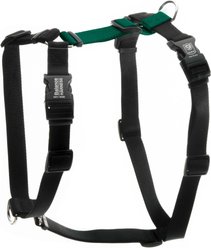 Blue-9 Pet Products Buckle-Neck Balance Dog Harness, Hunter Green, Medium-Large: 24 to 35.5-in chest