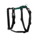 Blue-9 Balance No-Pull Dog Harness, Hunter Green, Medium: 21 to 32-in chest
