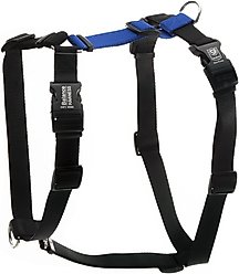 Blue-9 Pet Products Buckle-Neck Balance Dog Harness, Blue, Large: 29 to 43.5-in chest