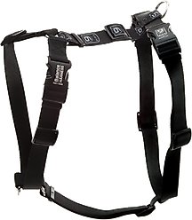 Blue-9 Balance No-Pull Dog Harness, Black, Small: 17.5 to 25.5-in chest