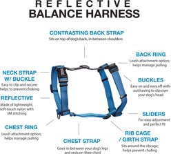 Blue-9 Pet Products Reflective Buckle-Neck Balance Dog Harness, Blue Ice, Large: 29 to 43.5-in chest slide 2 of 8