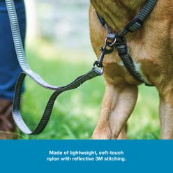 Blue-9 Pet Products Reflective Dog Leash, Gray Fog, Small/Medium: 6-ft long, 5/8-in wide slide 2 of 8