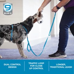 Blue-9 Pet Products Reflective Dog Leash, Blue Ice, Medium/Large: 6-ft long, 1-in wide slide 2 of 8