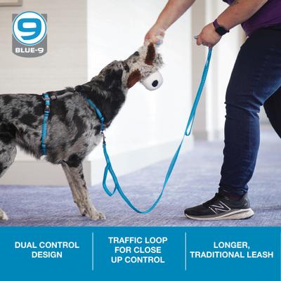 Show full view: Blue-9 Pet Products Reflective Dog Leash, Blue Ice, Medium/Large: 6-ft long, 1-in wide slide 3 of 8