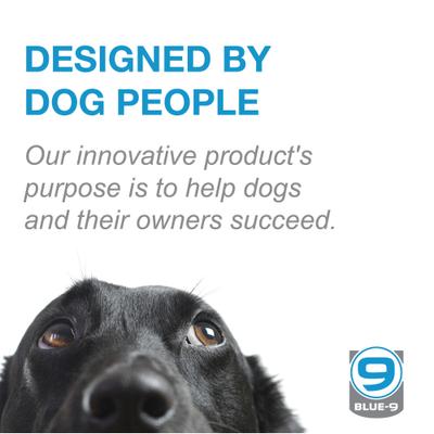 Show full view: Blue-9 Pet Products Secure Pro Dog Collar, Black, Medium: 13 to 20-in neck, 1-in wide slide 5 of 6