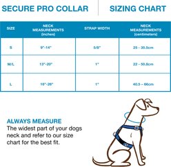 Blue-9 Pet Products Secure Pro Dog Collar, Red, Large: 16 to 26-in neck, 1-in wide slide 2 of 5