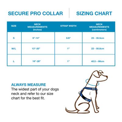 Show full view: Blue-9 Pet Products Secure Pro Dog Collar, Sky Blue, Small: 9 to 14-in neck, 5/8-in wide slide 4 of 7