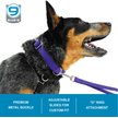 Show in main carousel: Blue-9 Secure Pro Dog Collar, Red, Small: 9 to 14-in neck, 5/8-in wide slide 2 of 6