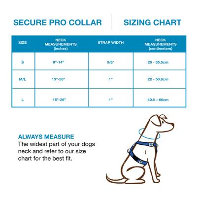 Show full view: Blue-9 Pet Products Secure Pro Dog Collar, Blue, Large: 16 to 26-in neck, 1-in wide slide 4 of 7