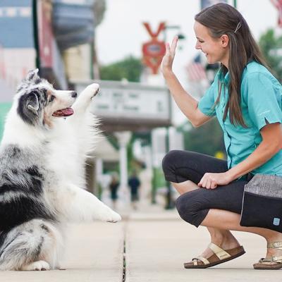 Show full view: Blue-9 Pet Products Inspire Dog Training Treat Pouch, Gray/Black slide 5 of 9