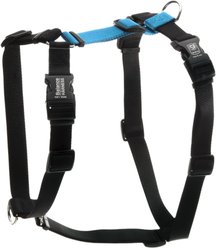 Blue-9 Pet Products Buckle-Neck Balance Dog Harness, Sky Blue, Medium: 21 to 32-in chest