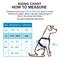 Show in main carousel: Blue-9 Pet Products Reflective Buckle-Neck Balance Dog Harness, Blue Ice, Small: 17.5 to 25.5-in chest slide 2 of 9