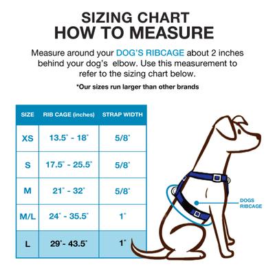Show full view: Blue-9 Pet Products Reflective Buckle-Neck Balance Dog Harness, Blue Ice, Large: 29 to 43.5-in chest slide 2 of 9