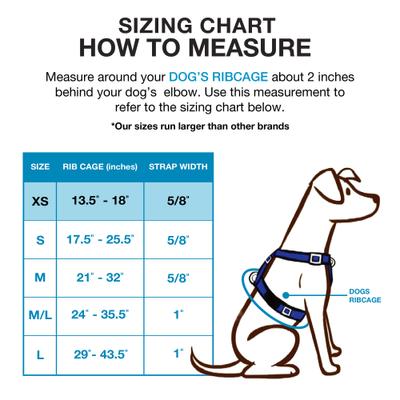 Show full view: Blue-9 Pet Products Buckle-Neck Balance Dog Harness, Hot Pink, X-Small: 13.5 to 18-in chest slide 3 of 10