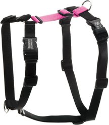 Blue-9 Pet Products Buckle-Neck Balance Dog Harness, Hot Pink, Medium: 21 to 32-in chest