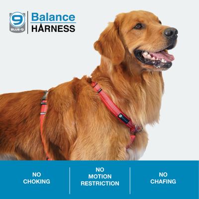 Show full view: Blue-9 Pet Products Reflective Buckle-Neck Balance Dog Harness, Red Ember, Medium-Large: 24 to 35.5-in chest slide 4 of 9