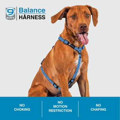 Show full view: Blue-9 Pet Products Reflective Buckle-Neck Balance Dog Harness, Blue Ice, Small: 17.5 to 25.5-in chest slide 4 of 9