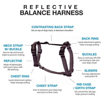 Show full view: Blue-9 Pet Products Reflective Buckle-Neck Balance Dog Harness, Gray Fog, Medium: 21 to 32-in chest slide 4 of 10