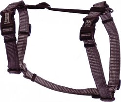 Blue-9 Pet Products Reflective Buckle-Neck Balance Dog Harness, Gray Fog, Medium: 21 to 32-in chest