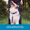 Show in main carousel: Blue-9 Pet Products Reflective Dog Training Leash, Red Ember slide 6 of 8