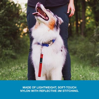 Show full view: Blue-9 Pet Products Reflective Dog Training Leash, Red Ember slide 6 of 8
