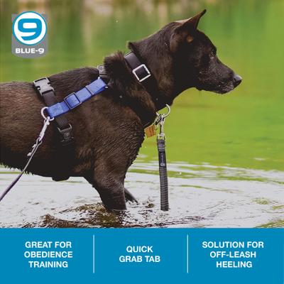 Show full view: Blue-9 Pet Products Reflective Dog Training Leash, Gray Fog slide 3 of 7