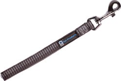 Blue-9 Pet Products Reflective Dog Training Leash, Gray Fog