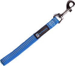 Blue-9 Pet Products Reflective Dog Training Leash, Blue Ice