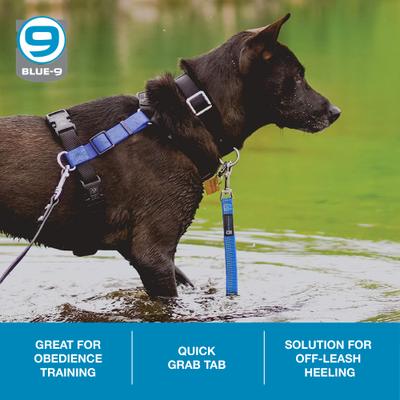 Show full view: Blue-9 Pet Products Reflective Dog Training Leash, Blue Ice slide 3 of 7
