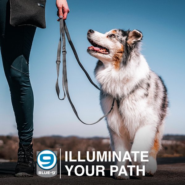 Blue-9 Pet Products Reflective Multi-Function Double Attachment Hands-Free Dog Leash