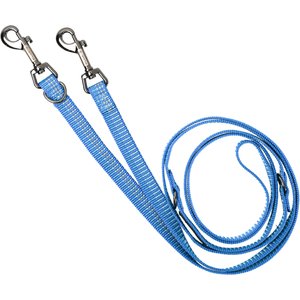 Blue-9 Pet Products Reflective Multi-Function Double Attachment Hands-Free Dog Leash, Blue Ice, Medium/Large: 6-ft long, 1-in wide