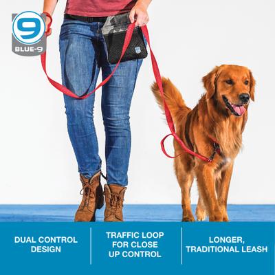 Show full view: Blue-9 Pet Products Reflective Dog Leash, Red Ember, Medium/Large: 6-ft long, 1-in wide slide 3 of 8