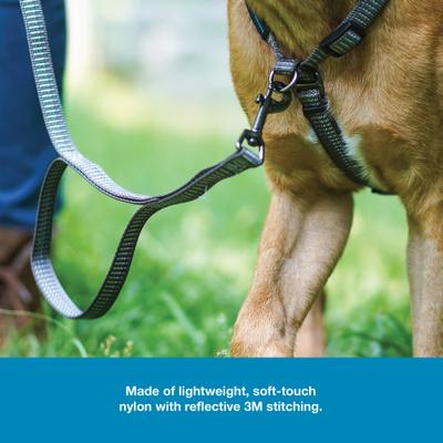 Show full view: Blue-9 Pet Products Reflective Dog Leash, Gray Fog, Medium/Large: 6-ft long, 1-in wide slide 6 of 8