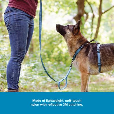 Show full view: Blue-9 Pet Products Reflective Dog Leash, Blue Ice, Medium/Large: 6-ft long, 1-in wide slide 6 of 8