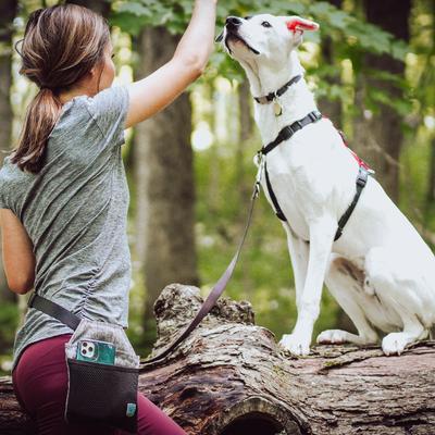 Show full view: Blue-9 Pet Products Inspire Dog Training Treat Pouch, Gray/Black slide 7 of 9