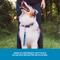 Show in main carousel: Blue-9 Pet Products Reflective Dog Training Leash, Blue Ice slide 5 of 7