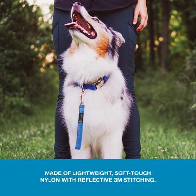 Show full view: Blue-9 Pet Products Reflective Dog Training Leash, Blue Ice slide 5 of 7