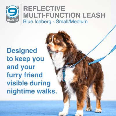 Show full view: Blue-9 Pet Products Reflective Multi-Function Double Attachment Hands-Free Dog Leash, Blue Ice, Medium/Large: 6-ft long, 1-in wide slide 2 of 9