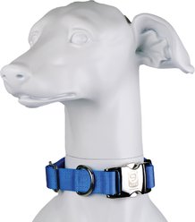 Blue-9 Pet Products Secure Pro Dog Collar, Sky Blue, Large: 16 to 26-in neck, 1-in wide