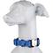 Show in main carousel: Blue-9 Pet Products Secure Pro Dog Collar, Sky Blue, Small: 9 to 14-in neck, 5/8-in wide slide 1 of 7