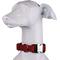 Show in main carousel: Blue-9 Pet Products Secure Pro Dog Collar, Red, Large: 16 to 26-in neck, 1-in wide slide 1 of 6